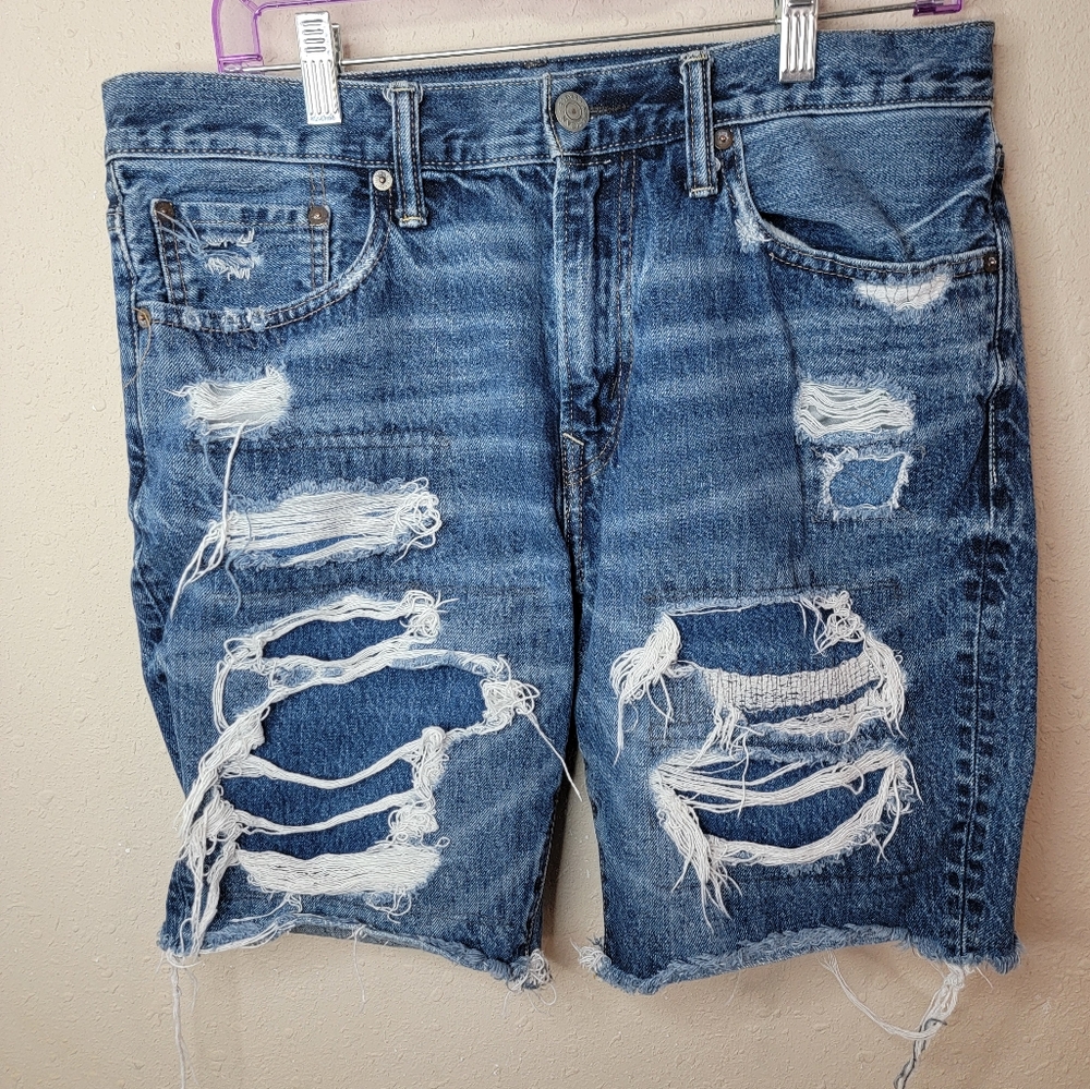 American Eagle Mens Distressed Denim Shorts